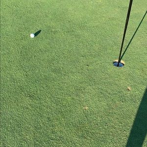 Meet your Posher, Ron